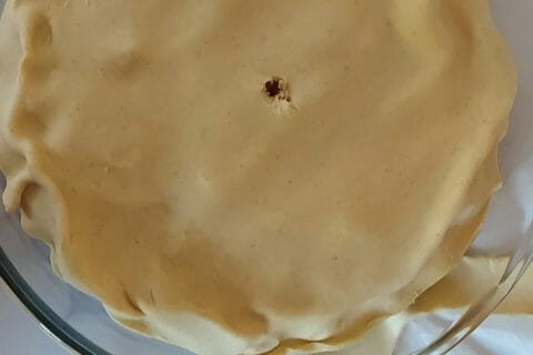 Cliquez pour zoomer ! Tatin surprise de pommes de terre Thermomix par Caliah