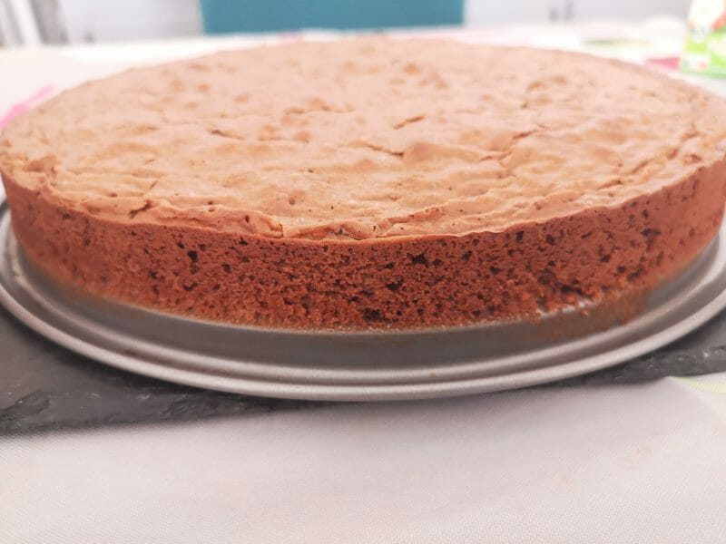 Cliquez pour zoomer ! Gâteau chocolat noix de coco Thermomix par emimiland