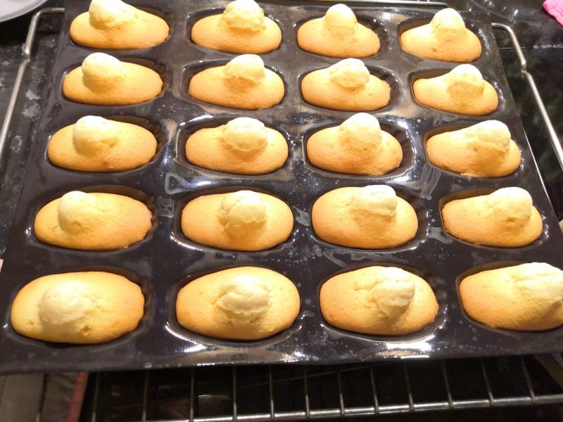 Cliquez pour zoomer ! Madeleines Thermomix par marlouze