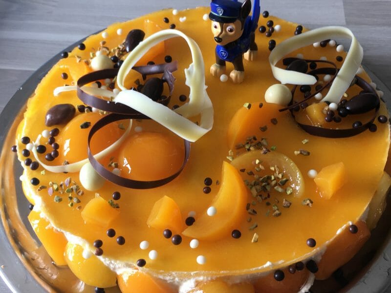 Cliquez pour zoomer ! Bavarois à l’abricot Thermomix par ludivine_97