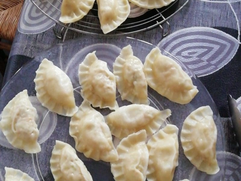 Cliquez pour zoomer ! Gyoza poulet et chou chinois Thermomix par Ougva