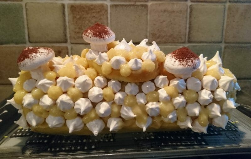 Cliquez pour zoomer ! Bûche au citron meringuée Thermomix par kristelrib