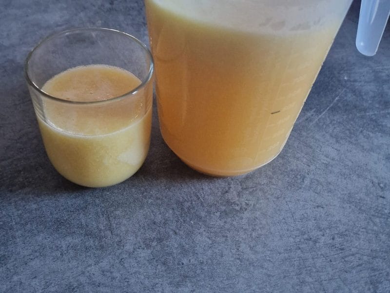 Cliquez pour zoomer ! Jus de clémentine et d’orange Thermomix par Mercredi83