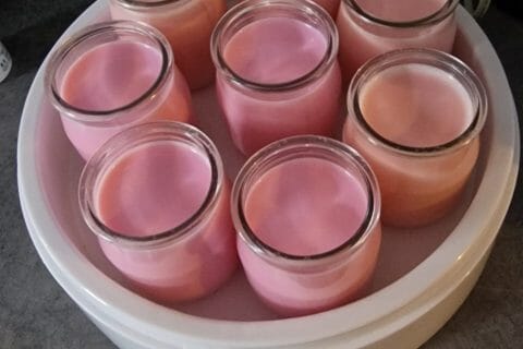 Cliquez pour zoomer ! Yaourt au Varoma Thermomix par Mercredi83