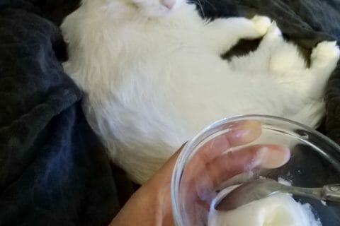 Cliquez pour zoomer ! Sorbet citron Thermomix par stephanie_491