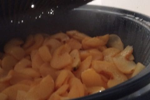 Cliquez pour zoomer ! Pâte de coing Thermomix par nicomatsab3