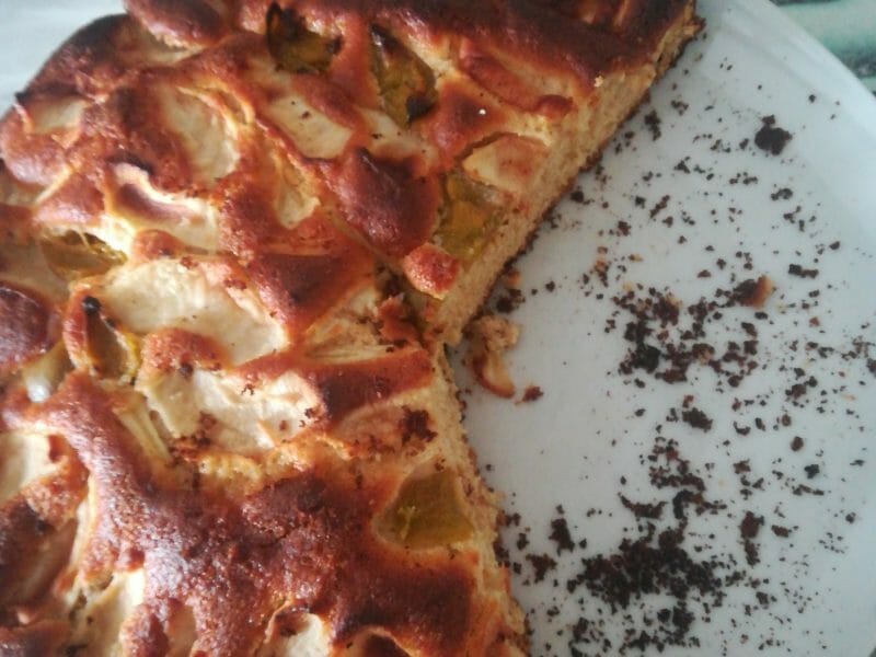 Cliquez pour zoomer ! Gâteau aux pommes et mascarpone Thermomix par pepette5988