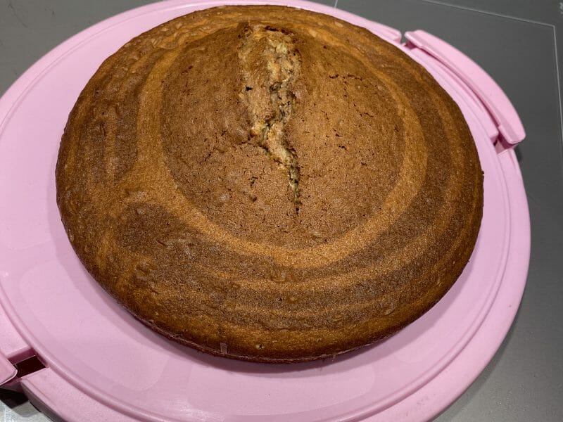 Cliquez pour zoomer ! Gâteau zébré Thermomix par cindy_012