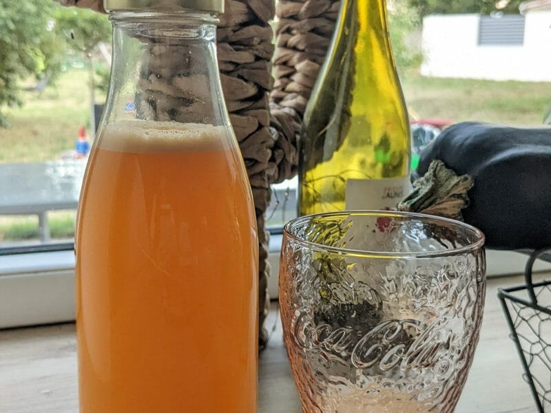 Cliquez pour zoomer ! Jus de fruits ACE Thermomix par Violaine