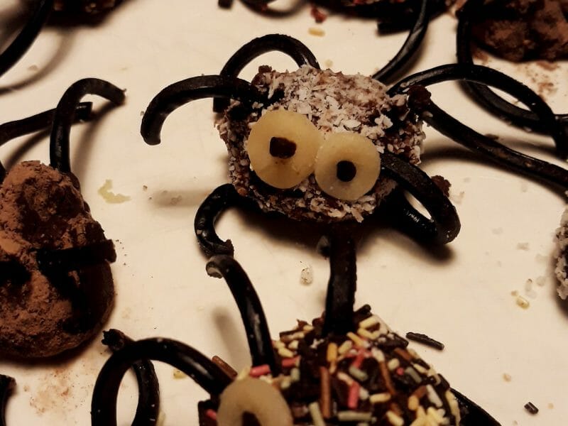 Cliquez pour zoomer ! Truffes araignées Thermomix par Lesfillescuisinent