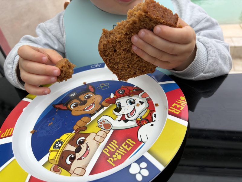 Cliquez pour zoomer ! Moelleux aux spéculoos Thermomix par cuoricino