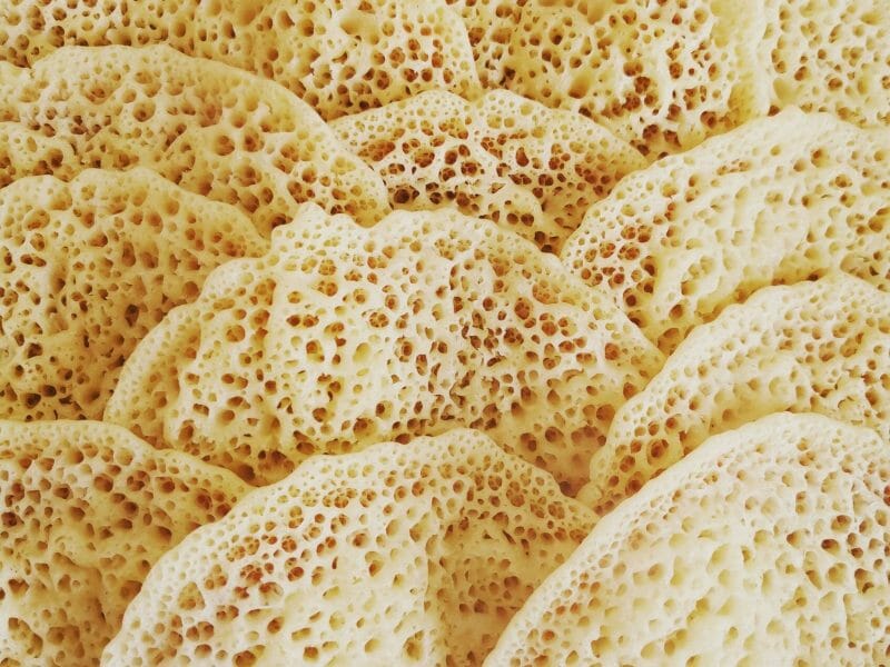 Cliquez pour zoomer ! Baghrir – Crêpes mille trous Thermomix par brunhild