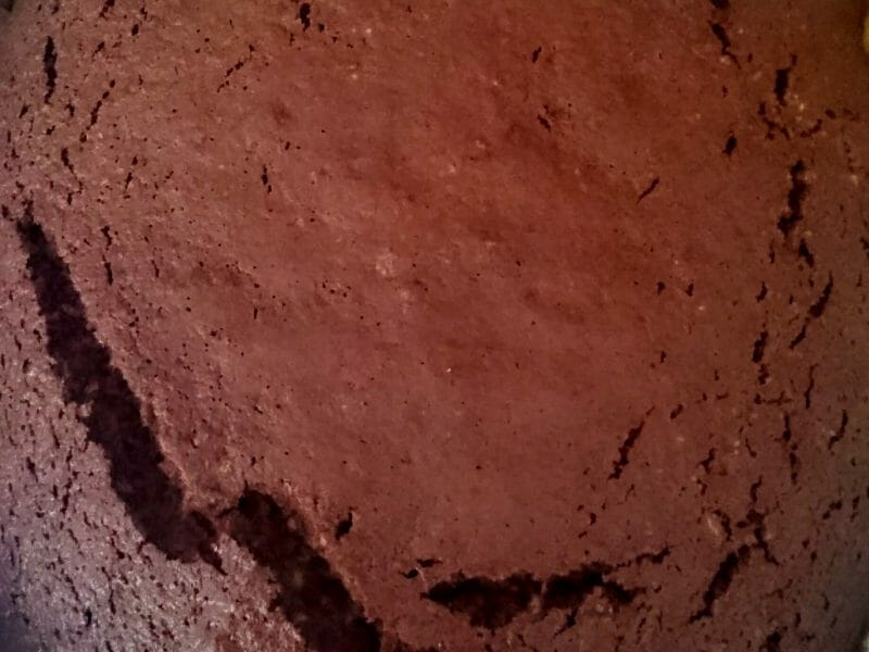 Cliquez pour zoomer ! Gâteau au chocolat et courgettes Thermomix par isajlc