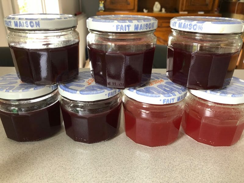Cliquez pour zoomer ! Gelée de groseilles Thermomix par belisa7