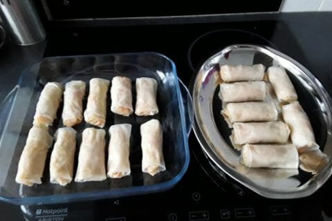 Cliquez pour zoomer ! Nems au poulet au Thermomix
