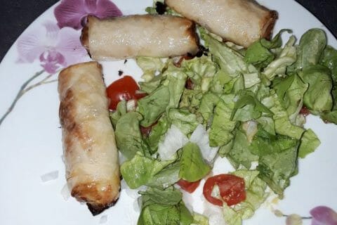 Cliquez pour zoomer ! Nems au poulet au Thermomix