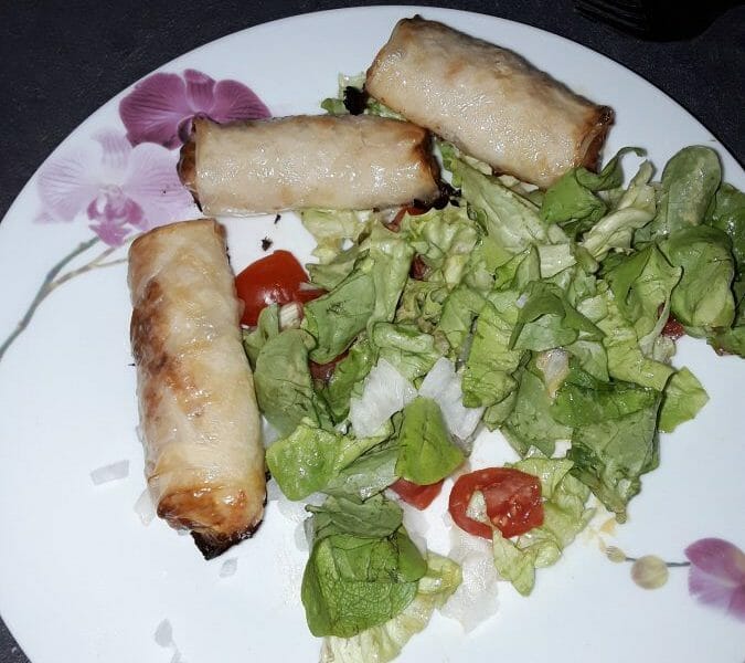 Cliquez pour zoomer ! Nems au poulet Thermomix par Plopinou