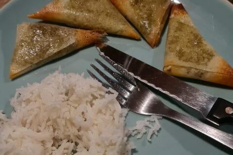 Cliquez pour zoomer ! Samoussa au boeuf Thermomix par sarahcath0410