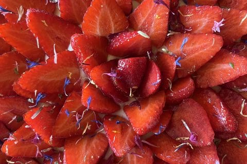 Cliquez pour zoomer ! Tarte aux fraises Thermomix par lilith_1