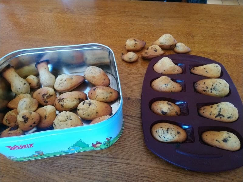 Cliquez pour zoomer ! Madeleines Thermomix par AL T