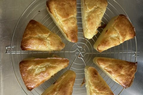 Cliquez pour zoomer ! Photo de oceane_dind