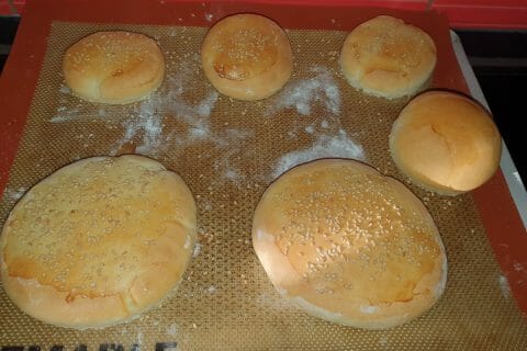 Cliquez pour zoomer ! Pains hamburger au Thermomix