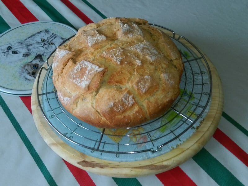 Cliquez pour zoomer ! Pain Cocotte Thermomix par Monique64