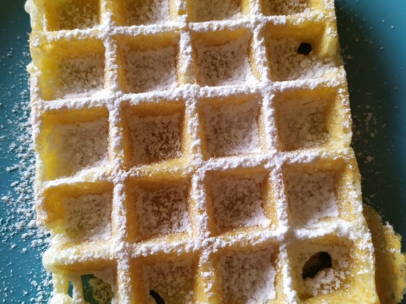 Cliquez pour zoomer ! Gaufres Thermomix par Flowermarlou