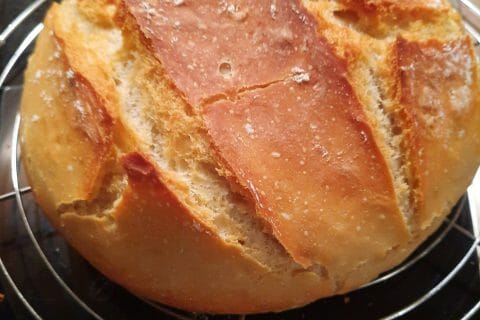 Cliquez pour zoomer ! Pain Cocotte Thermomix par tycouet