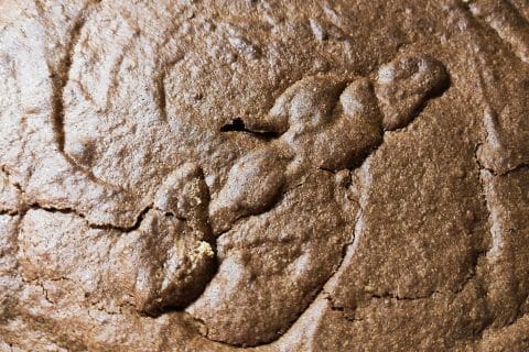 Cliquez pour zoomer ! Reine de Saba Thermomix par nathalie90400