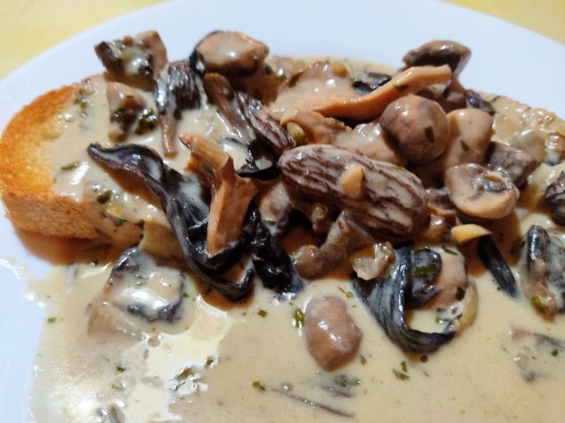 Cliquez pour zoomer ! Champignons à la crème Thermomix par nathalie90400