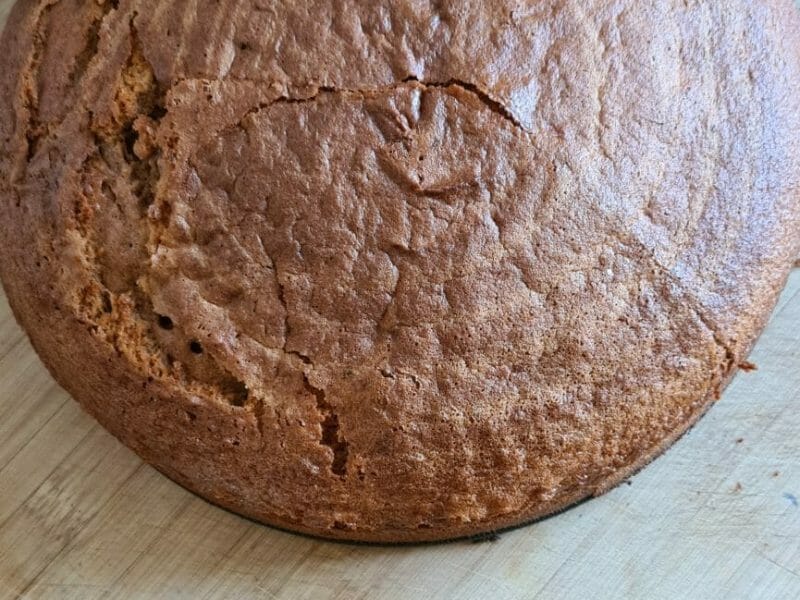 Cliquez pour zoomer ! Gâteau zébré Thermomix par angeline2010