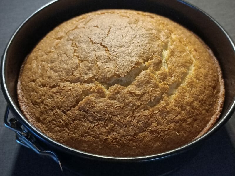 Cliquez pour zoomer ! Gâteau au yaourt Thermomix par Krismix