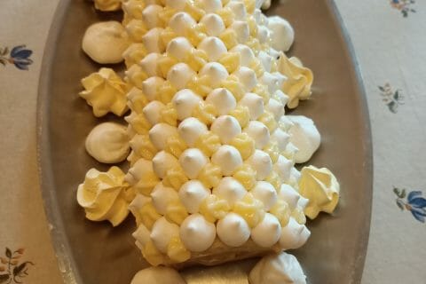 Cliquez pour zoomer ! IMG20201224144812