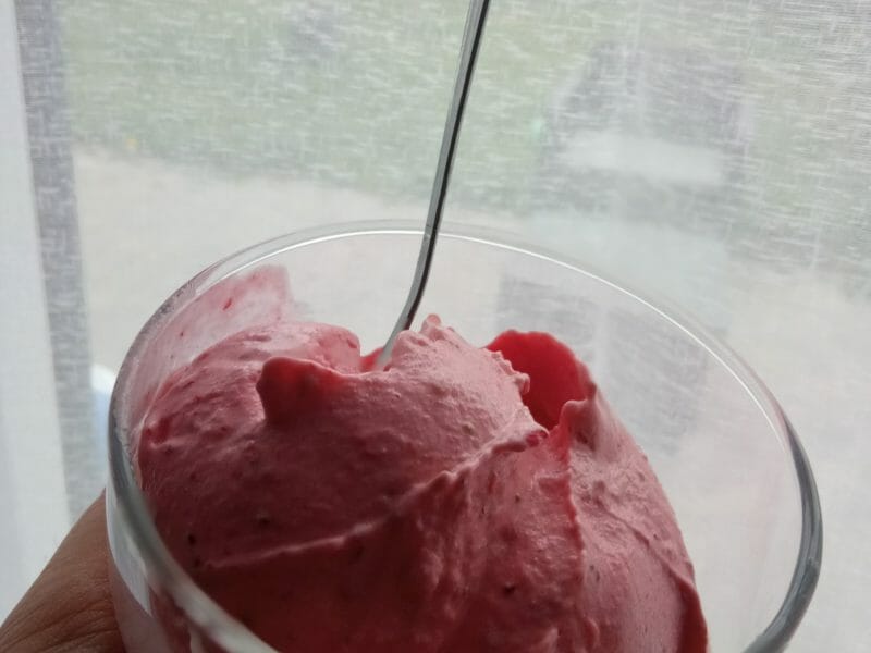 Cliquez pour zoomer ! Sorbet aux fruits rouges Thermomix par melina_25