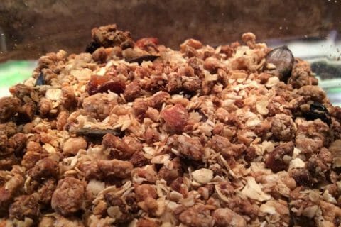 Photos des recettes