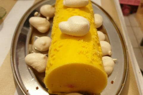 Cliquez pour zoomer ! Bûche glacée mangue et framboise Thermomix par Cilou37