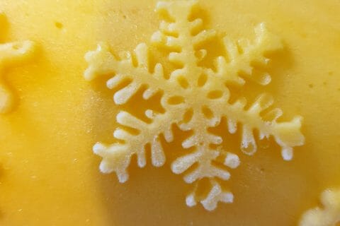 Cliquez pour zoomer ! Bûche glacée mangue et framboise Thermomix par Cilou37