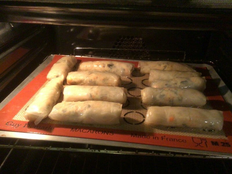 Cliquez pour zoomer ! Nems au poulet Thermomix par sandrine_415