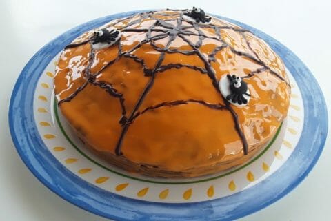 Cliquez pour zoomer ! Gâteau zébré Thermomix par Dany33