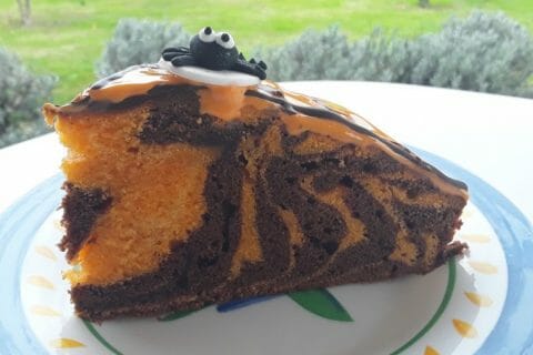 Cliquez pour zoomer ! Gâteau zébré Thermomix par Dany33