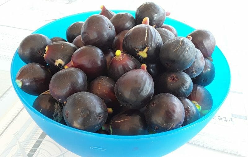 Cliquez pour zoomer ! Tarte aux figues Thermomix par Dany33