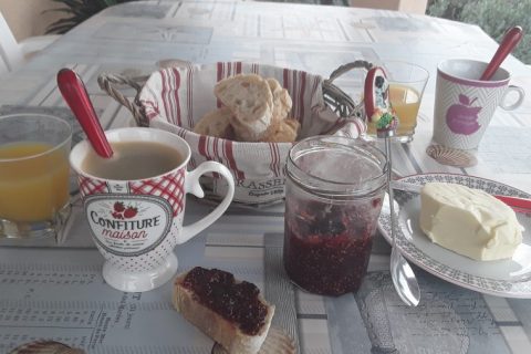 Cliquez pour zoomer ! Confiture de figues Thermomix par Dany33