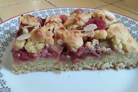 Cliquez pour zoomer ! Cookie-crumble rhubarbe framboises au Thermomix