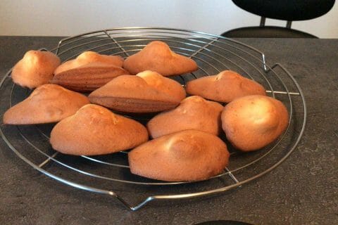 Cliquez pour zoomer ! Madeleines Thermomix par olivia_91