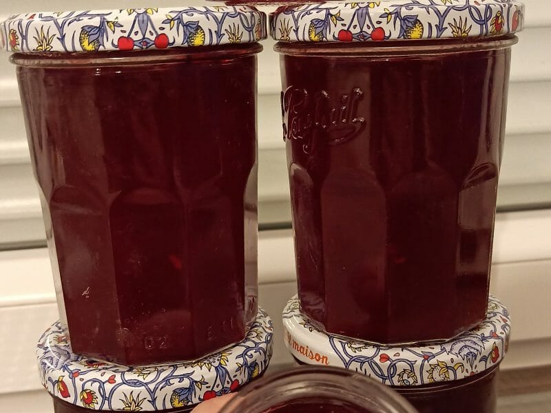 Gelée de groseilles Thermomix par mariuscapucine