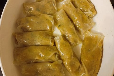 Cliquez pour zoomer ! Nems aux légumes Thermomix par tortuenana4