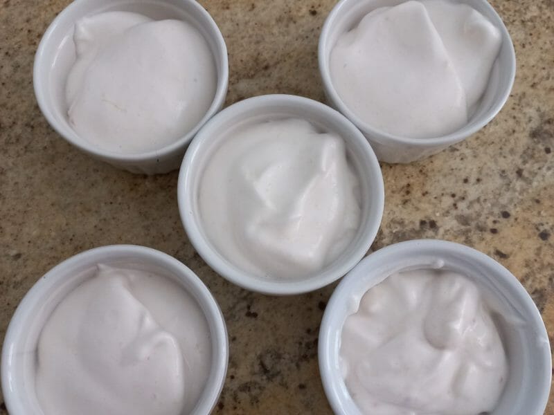 Cliquez pour zoomer ! Mousse de pêches blanches Thermomix par tortuenana4