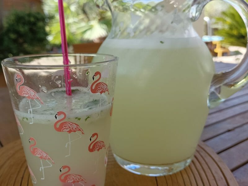 Cliquez pour zoomer ! Lemon mint Thermomix par tortuenana4