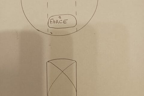 Cliquez pour zoomer ! Nems aux légumes Thermomix par tortuenana4